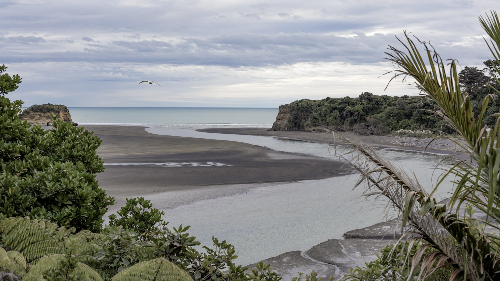 Portrait photo of Paul Melton.